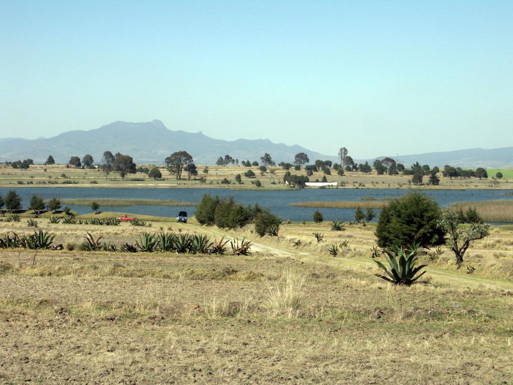 100302_Zacatec 087.jpg